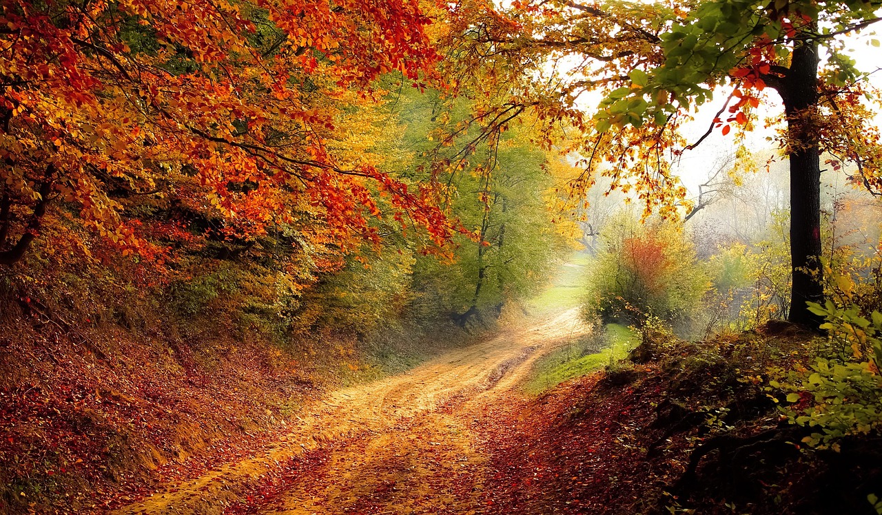 Die 6 schönsten Herbstfahrten durch malerische Landstraßen
