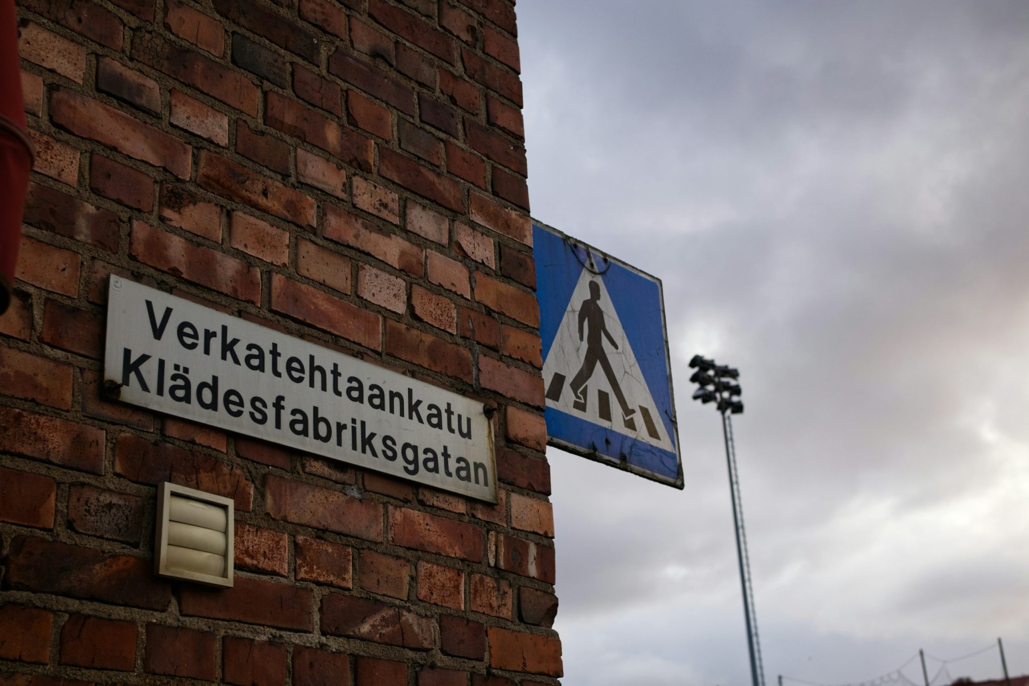 Fossilien als Hauptakteure
