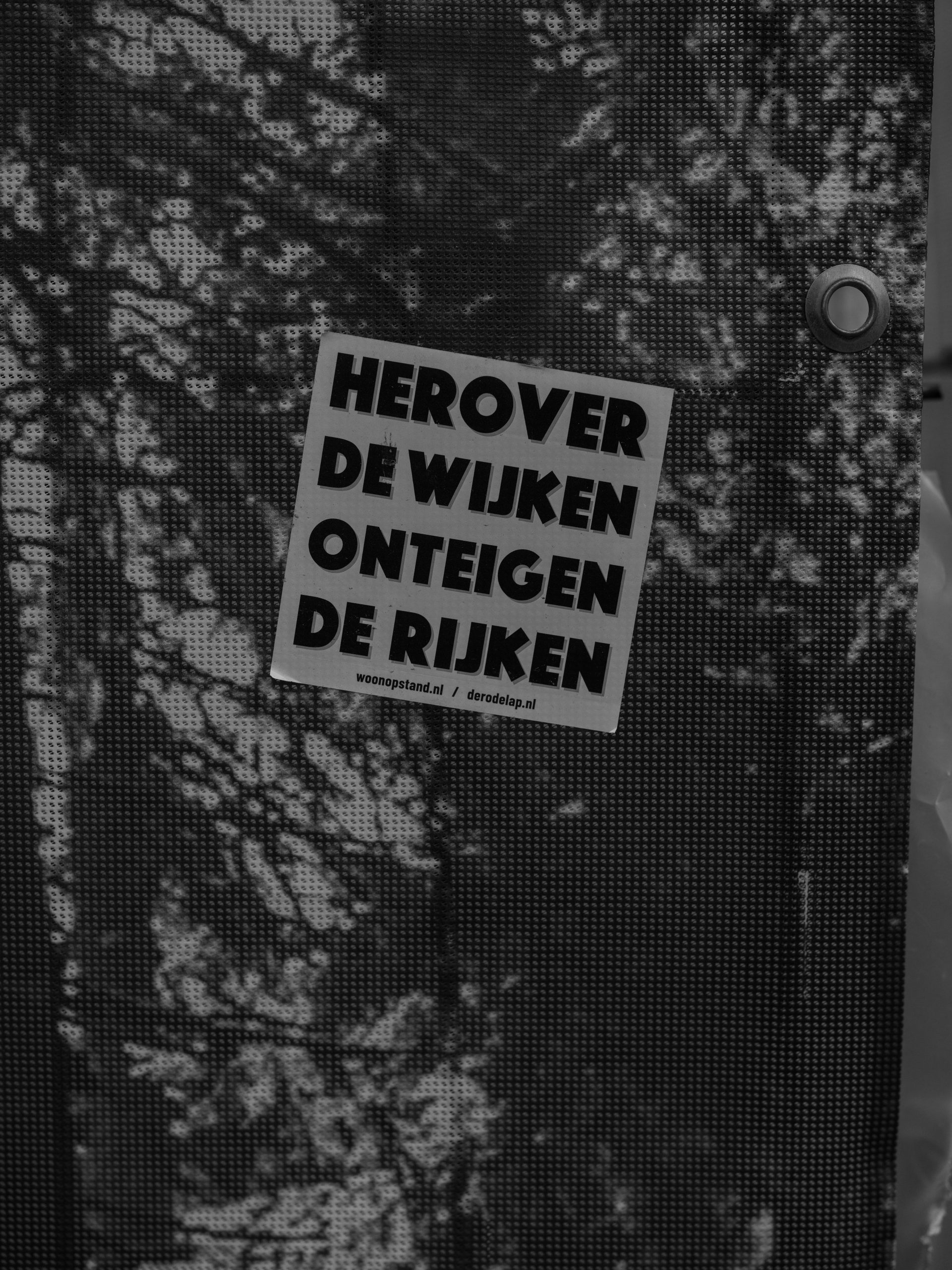 Wichtige Merkmale: